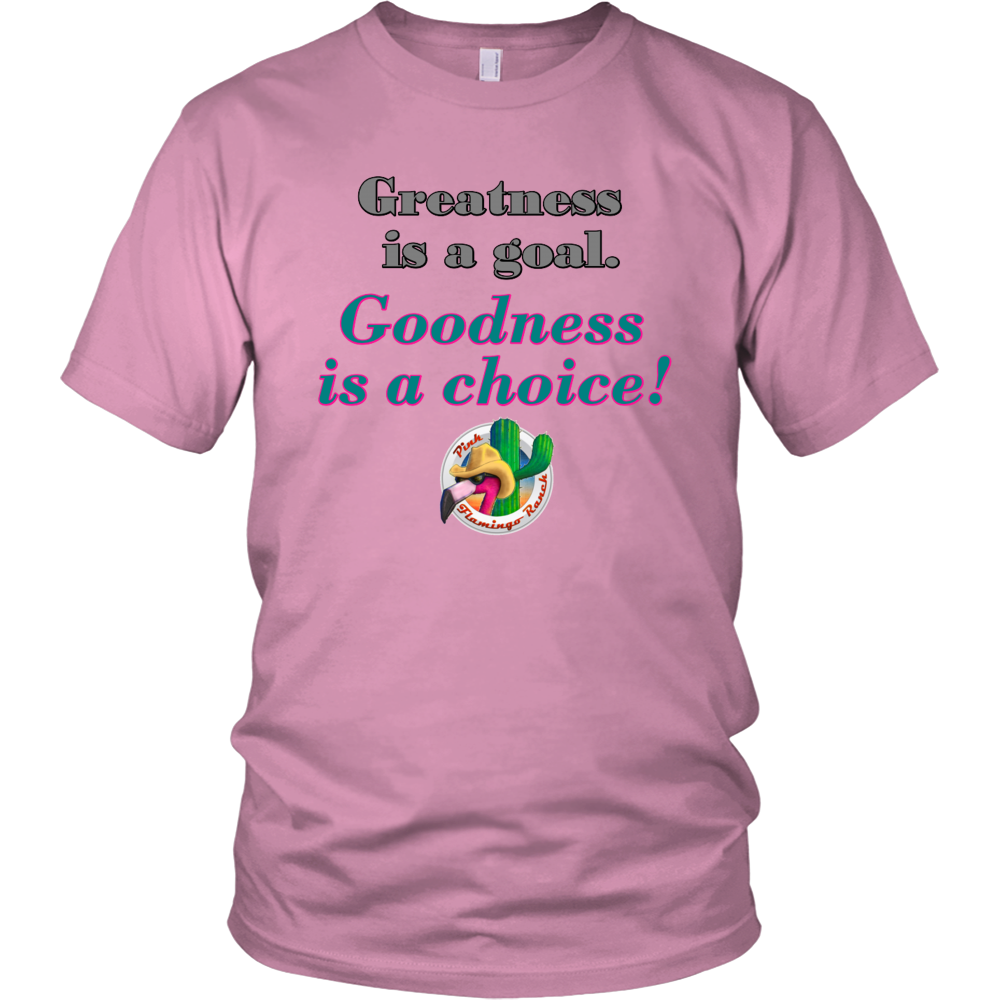 "Goodness" District Unisex Shirt