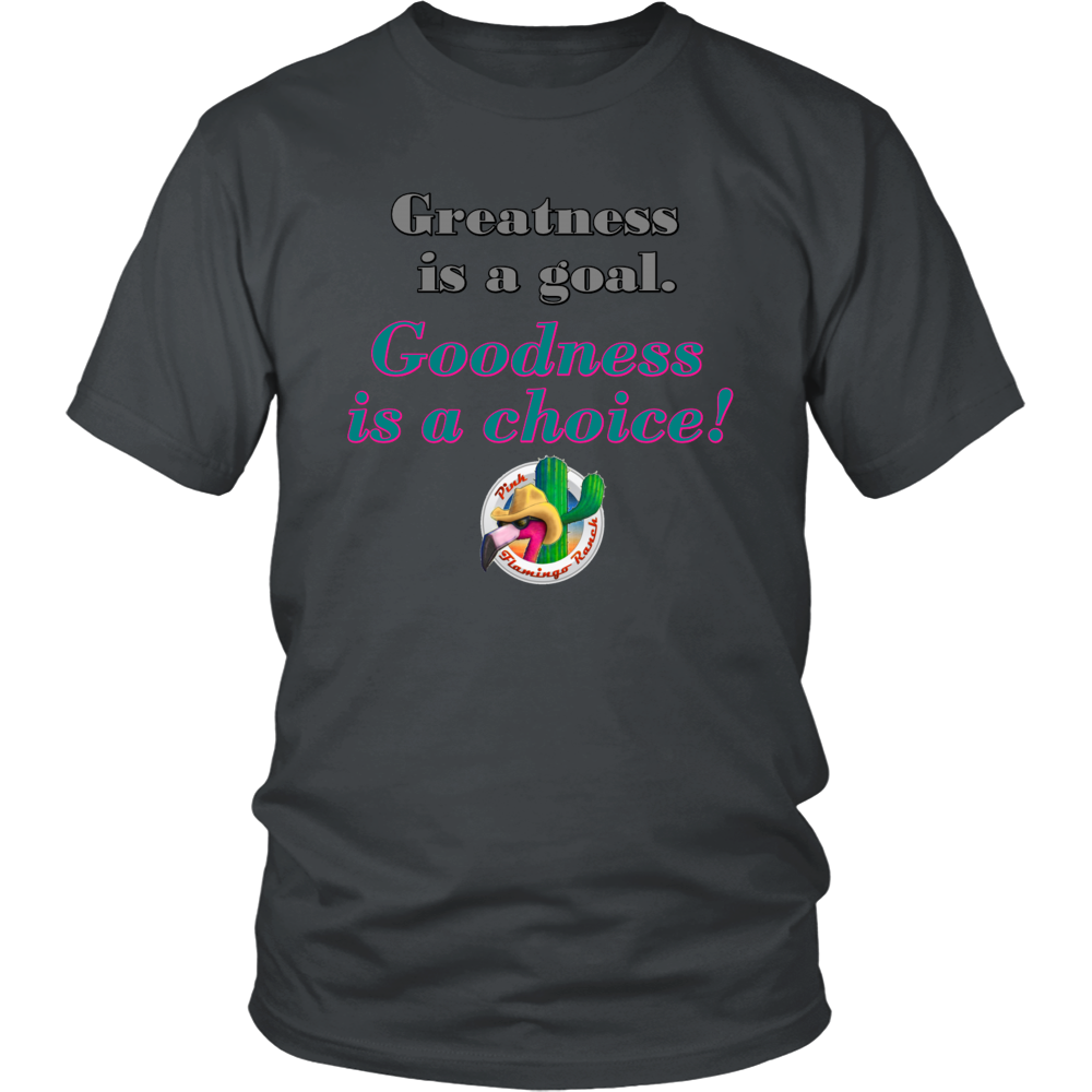 "Goodness" District Unisex Shirt