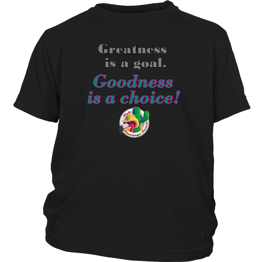 "Goodness" District Youth Shirt